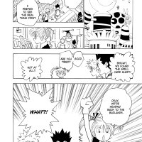 Hunter X Hunter Manga Volume 15