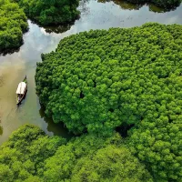 Mangalavanam Bird Sanctuary
