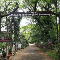 Mangalavanam Bird Sanctuary Ernakulam Kochi