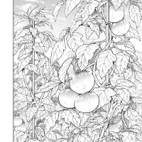 K MANGA on X: WIND BREAKER CHAPTER 168 TO SHOW COLOR is now available! Nirei helps Sugishita navigate his emotional world! Read: