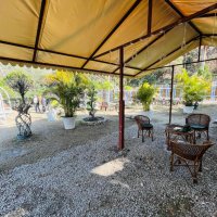 Jangal Mangal Dehradun updated prices 2025