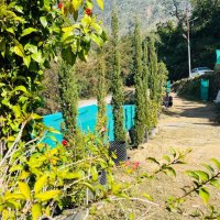 Jangal Mangal Dehradun updated prices 2025