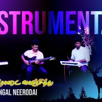Mangal neerodai vanjithu ppt image 8