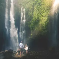 Jungle mein mangal! Indias best jungle getaways for honeymoon