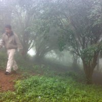 Jungle mein mangal part2