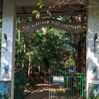 File:Mangalavanam Bird Sanctuary.jpg
