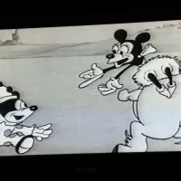 Uncensored Animation VHS