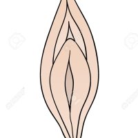 Vrouwelijke Vagina Op Witte Achtergrond Cartoon Geïsoleerd Royalty vrije SVG Cliparts Vectoren en Stock Illustratie. Image 37831628