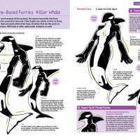 How to Draw Manga Furries: The Complete Guide to India
