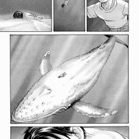 IO