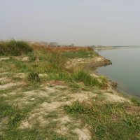 Mangaldai India: All You Must Know Before You Go 2025