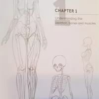 Drawing the Female Figure for manga hentai and comics Joe the Tattoo Guy