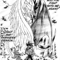 Light and Darkness Dragon character