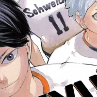 Haikyuu!!: Hinata Finally Joins Kageyama In The Professional League