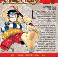 One Piece Manga Volume 6