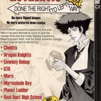 How Manga Was Translated for America