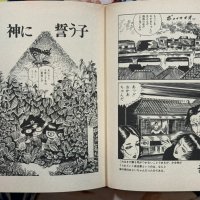 Moonlight 1980 Hardcover Edition by Kazuichi Hanawa Japan Book Hunter