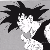 Son Goku Canon Dragon Ball Z MangaMurphys Paradox