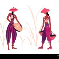 Femme rizière inde Banque dimages vectorielles