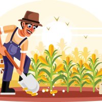 femmes travail sur riz des champs 24702002 Art vectoriel chez Vecteezy