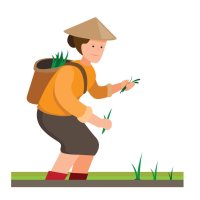 Une rizicultrice asiatique plante des graines sur le terrain les activités des maraîchers dans le village le processus de culture du riz. vecteur modifiable de dessin animé illustration plat 4595563 Art vectoriel