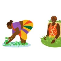 femmes africaines en robes colorées travaillant. faire de la poterie travailler dans une rizière cueillir du