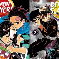 Demon Slayer: Kimetsu no Yaiba Volumes 1 and 2 Manga Review