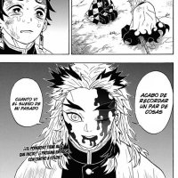 Kimetsu no yaiba Manga Español