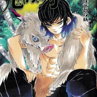 Demon Slayer Kimetsu no Yaiba Manga Collection Vol Brazil