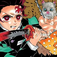 10 Best Demon Slayer Covers