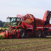 Grimme Grimme Rexor 6300 Platinum