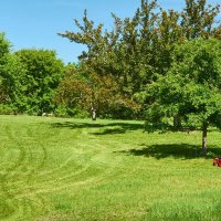 Machines voor tuin en park
