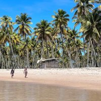 O que fazer em Boipeba: dicas e valores atualizados!