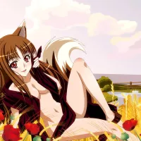 Spice And Wolf Hot Sexy Pin-Up Horo Manga Anime Poster