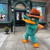 PHOTOS VIDEO: Perry the Platypus Meeting at Disney California Adventure as Agent P