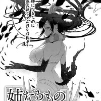 Ane Naru Mono Ecchi Version