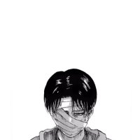 Captain Levi anime aot attack on titan core scouts survey HD phone wallpaper