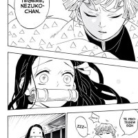 Kimetsu no yaiba Manga Español