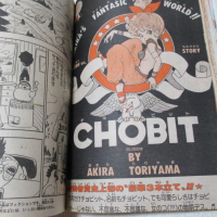 Reading without words: Akira Toriyamas visual manga and its cross-cultural impact