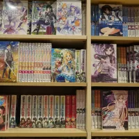 Exploring Libraries Challenges In Stocking Longer Manga Series