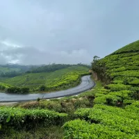 The Ultimate Road Trip Guide to Mangalore