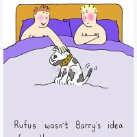 Gay Threesome Humor Two Men and a Dog Postcard for Sale by KateTaylor