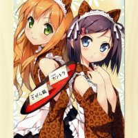 Cartoon world Home Decor Anime Japanese Hentai Ouji to Warawanai Neko Poster Wall Scroll 03 : Amazon.ca: Home
