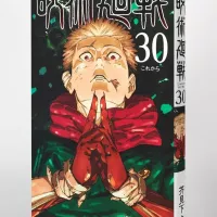 Jujutsu Kaisen Volume 30 Vol.30 Nieuw nummer JUMP Nederlands