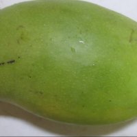 Pacha Manga Juice Raw Mango Juice 3 Minute Recipe In tamil