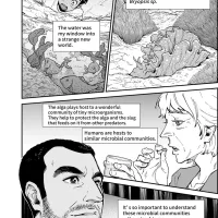 Worlds Inside: Manga Explores the Work of Biochemist Mohamed Abou Donia
