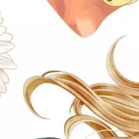 Manga Like Hanikamu Honey