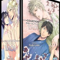 Collection Yaoi Pack N 14: 5 mangas : Boys Love: Amazon.nl: Boeken