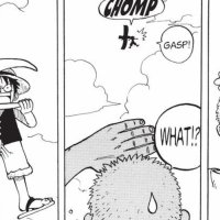 One Piece Volume 1