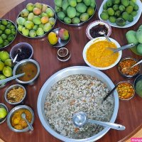 Mango Festival Kuruvakkavu: A celebration of Indigenous Mango Varieties in Kannapuram